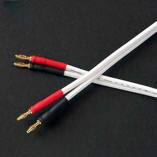 prism klara ps 喇叭線(xiàn)